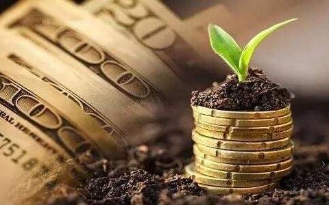 直播期货公司简介